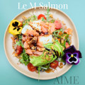 Le M Salmon